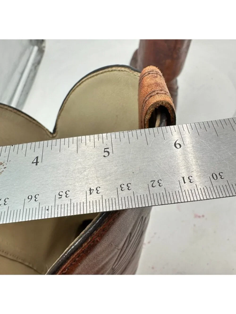 dingo size 12